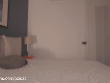 webcam girl ocicat live cam image #2773648