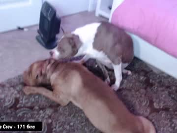 webcam girl holihurricane live cam image #3213620