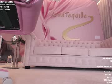 webcam girl wildtequilla live cam image #3748956