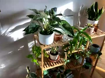 webcam girl emersoncane live cam image #5989827