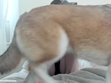webcam girl kosherpussy live cam image #4255018