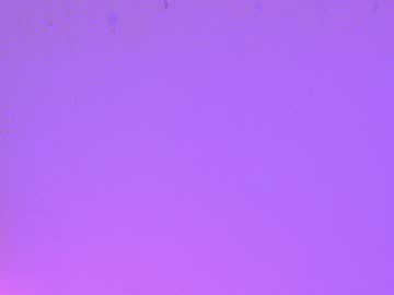 webcam girl shycinderella live cam image #1110385