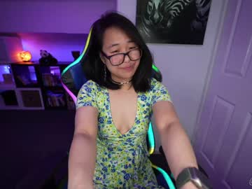 webcam girl naughtynerdygirl live cam image #4187462