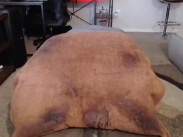 webcam man dreambound live cam image #3979373