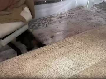 webcam girl ari_02 live cam image #5059453