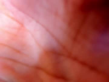 webcam girl joss_caprice live cam image #6397187