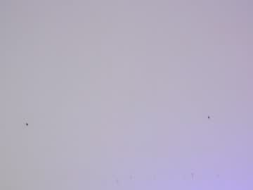 webcam girl sapphirealice live cam image #2084965