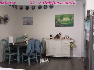 webcam girl pr3ttyp1nkpussy live cam image #3835568
