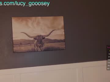 webcam girl lucy_gooosey live cam image #4708560