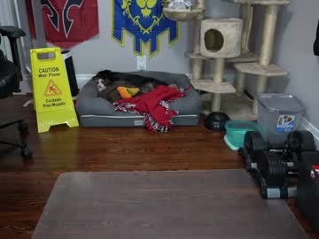 webcam man sydaffect live cam image #377534