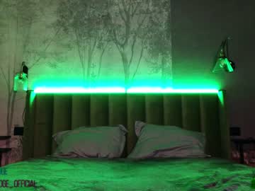 webcam girl nika_lodge live cam image #5751551