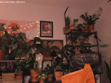 webcam girl jane_flowers live cam image #497065