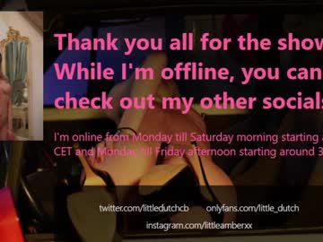 webcam girl little_dutch live cam image #2456984