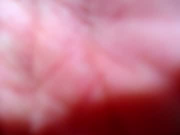 webcam man solinoff live cam image #2278090