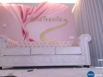 webcam girl wildtequilla live cam image #4227630