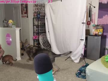 webcam girl pr3ttyp1nkpussy live cam image #4050650