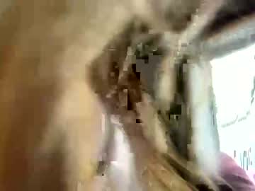 webcam girl vcielia live cam image #5329011