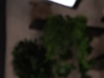 webcam girl kateharrise live cam image #6635014