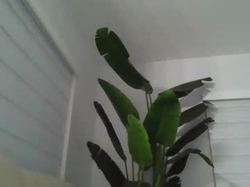 webcam girl theislandgirl live cam image #6471638