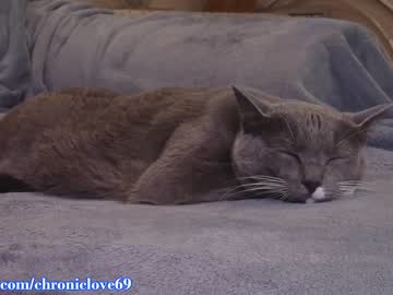 webcam girl chroniclove live cam image #4141194