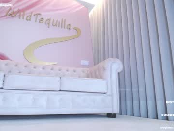 webcam girl wildtequilla live cam image #5753061