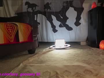 webcam girl lucy_gooosey live cam image #5826113