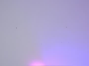 webcam girl sapphirealice live cam image #1323529