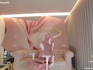 webcam girl wildtequilla live cam image #4642131