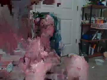 Cam for milleymay