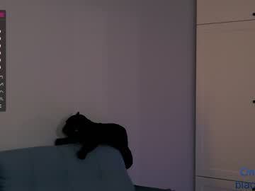 webcam girl _blackbee_ live cam image #2221970