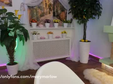 webcam girl mary_marlow live cam image #934379