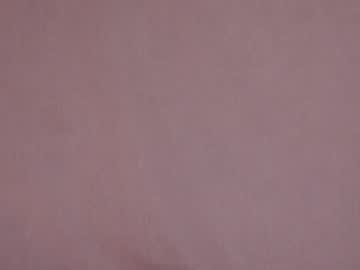 webcam girl shycinderella live cam image #1872118