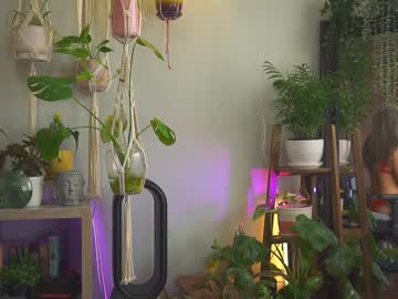 webcam girl sunniedayz live cam image #5235498
