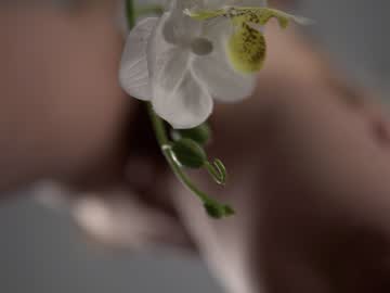 webcam girl neferpita live cam image #6558459