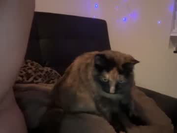 webcam girl wet_scarlett72 live cam image #3049742