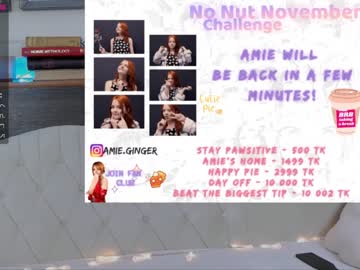 webcam girl ginger_pie live cam image #531416