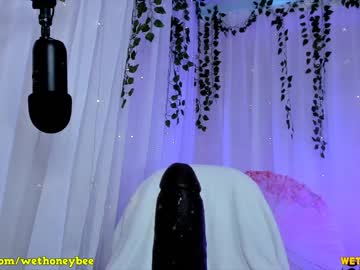 webcam girl wethoneybee live cam image #6971949