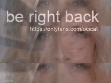 webcam girl ocicat live cam image #2738826