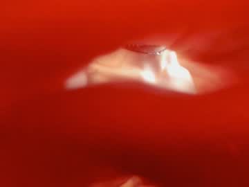 webcam girl neferpita live cam image #4187176