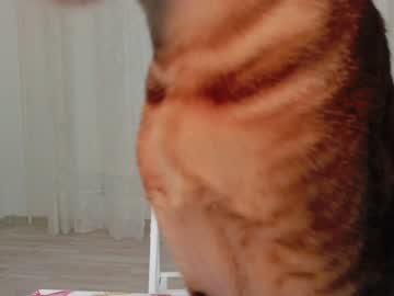 webcam girl gwen_pen live cam image #876518