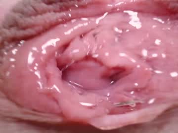 webcam girl courtney_luv live cam image #4279387