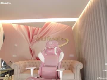 webcam girl wildtequilla live cam image #4556063