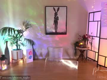 webcam girl phoenix_taylor live cam image #6406484