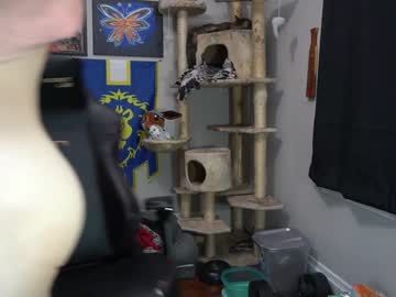 webcam man sydaffect live cam image #1612455