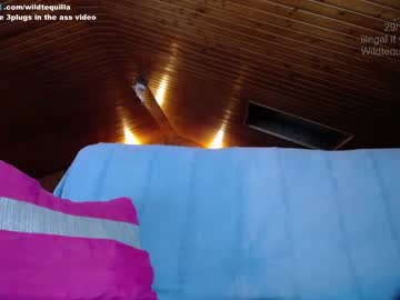 webcam girl wildtequilla live cam image #412354