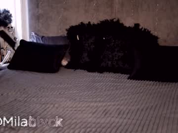 webcam girl miladenver live cam image #2670241