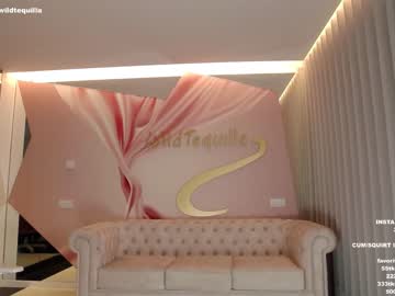 webcam girl wildtequilla live cam image #3304776