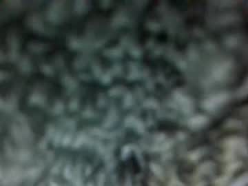 webcam couple jadexbabe live cam image #6416941