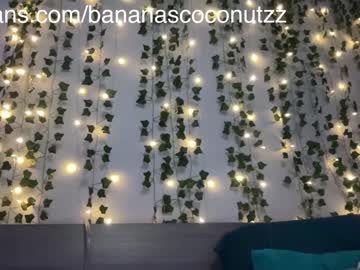 webcam girl bananascoconutz live cam image #5697520