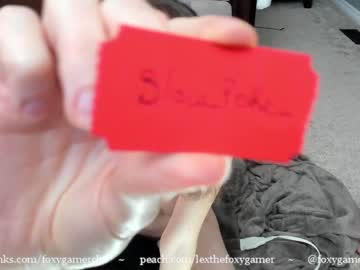 webcam girl foxy_gamer live cam image #205788